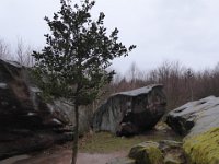 6  Saverne LE WASSERWALD 05 03 2017 16